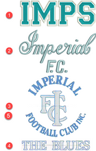 Load image into Gallery viewer, Imperial Football Club IMPSFC0013   HOODY MENS with logo front NAVY